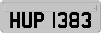 HUP1383