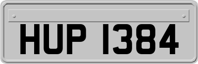 HUP1384