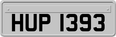 HUP1393