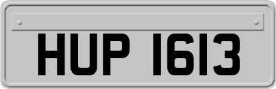 HUP1613