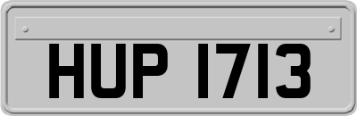 HUP1713