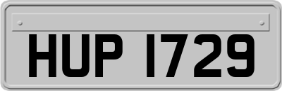 HUP1729