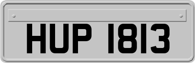 HUP1813