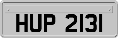 HUP2131