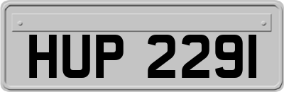 HUP2291