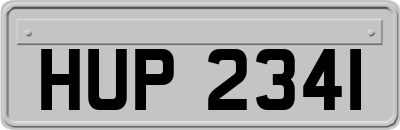 HUP2341