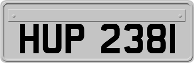 HUP2381