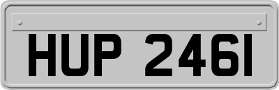 HUP2461