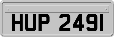 HUP2491