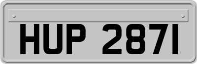 HUP2871