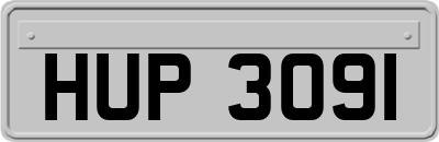 HUP3091