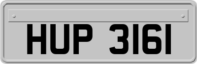 HUP3161