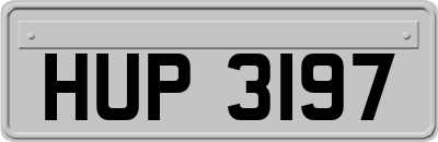 HUP3197