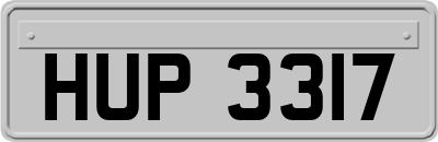 HUP3317