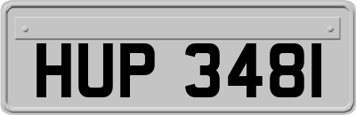 HUP3481