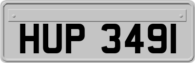 HUP3491