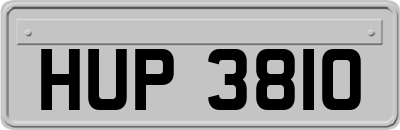 HUP3810