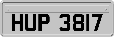 HUP3817