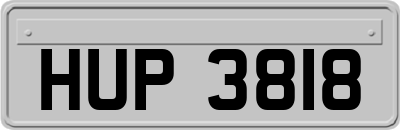 HUP3818