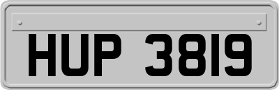 HUP3819