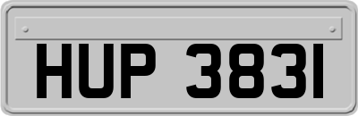 HUP3831