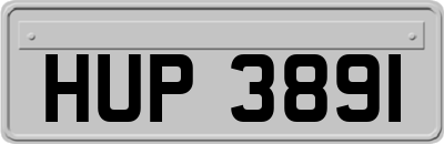 HUP3891