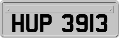 HUP3913