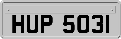 HUP5031