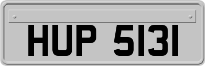 HUP5131