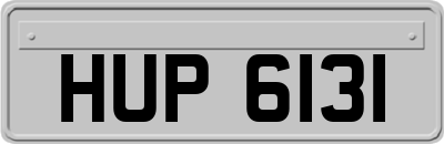 HUP6131