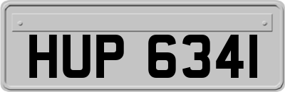 HUP6341