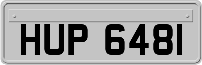 HUP6481