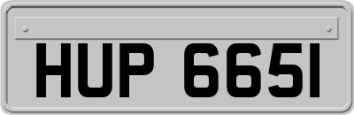 HUP6651