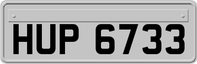 HUP6733