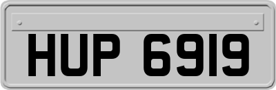 HUP6919