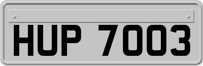 HUP7003