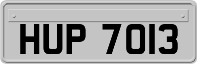 HUP7013