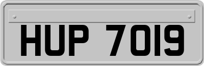HUP7019