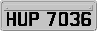 HUP7036