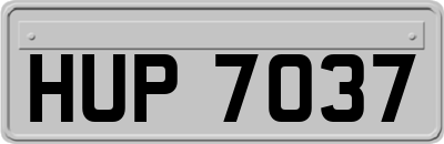 HUP7037