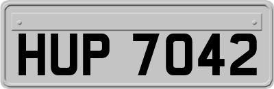 HUP7042