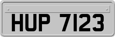 HUP7123