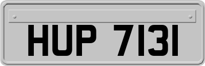 HUP7131