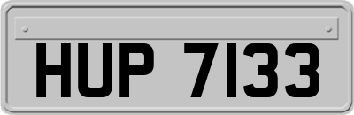 HUP7133