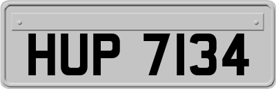 HUP7134