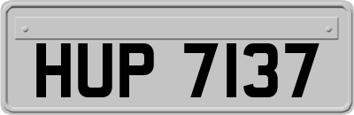 HUP7137