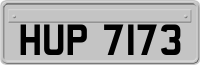 HUP7173