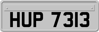 HUP7313