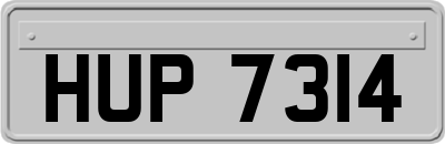 HUP7314