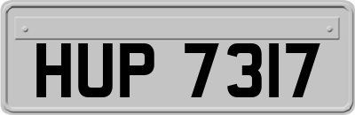 HUP7317